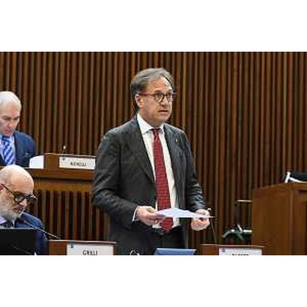 Mauro Di Bert (Fedriga presidente) - Mauro Di Bert (Fedriga presidente)