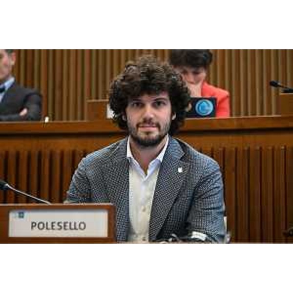 Simone Polesello (Fp) - Simone Polesello (Fp)