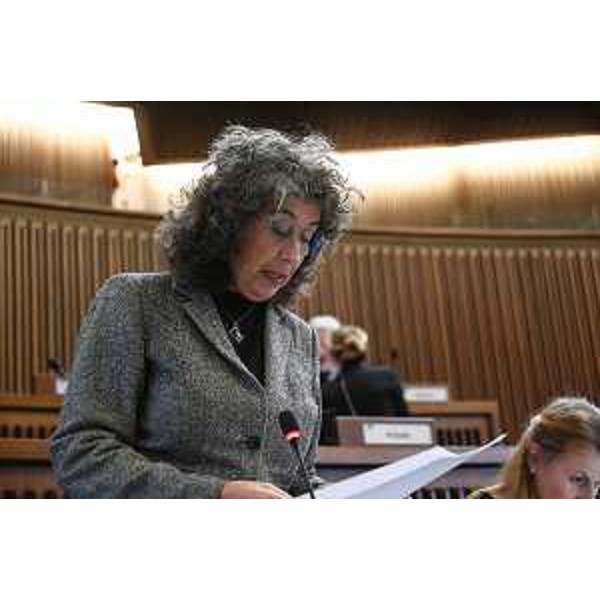 Serena Pellegrino (Alleanza Verdi e Sinistra) - Serena Pellegrino (Alleanza Verdi e Sinistra)