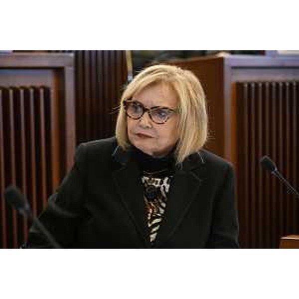 Laura Fasiolo (Pd) - Laura Fasiolo (Pd)