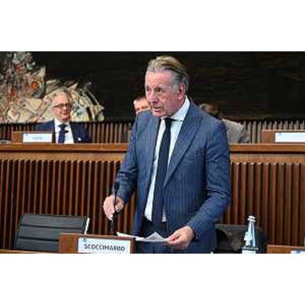 L'assessore Scoccimarro interviene in Consiglio regionale - L'assessore Scoccimarro interviene in Consiglio regionale