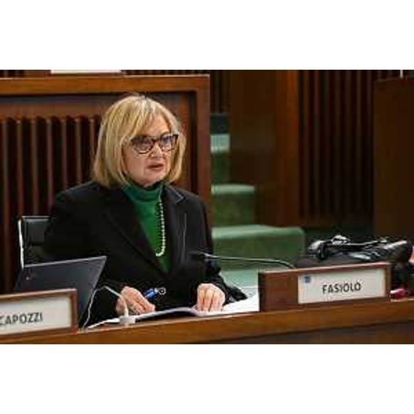 Laura Fasiolo (Pd) - Laura Fasiolo (Pd)