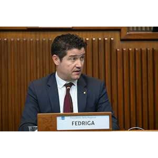 Il presidente della II Commissione, Markus Maurmair (FdI) - Il presidente della II Commissione, Markus Maurmair (FdI)