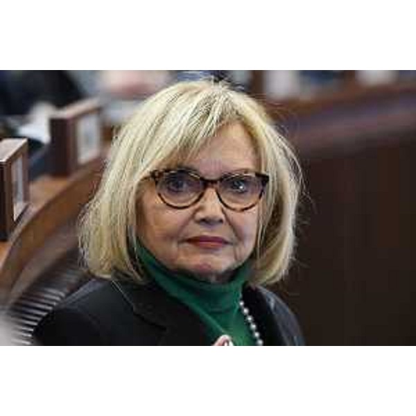 Laura Fasiolo (Pd) - Laura Fasiolo (Pd)