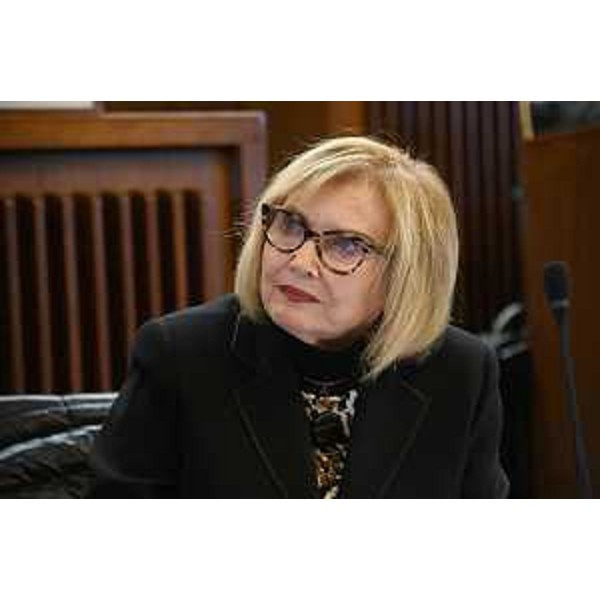 Laura Fasiolo (Pd) - Laura Fasiolo (Pd)