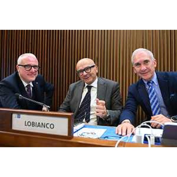 I consiglieri regionali del Gruppo Forza Italia - I consiglieri regionali del Gruppo Forza Italia