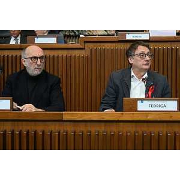 L'assessore regionale alla Salute, Riccardo Riccardi, e il presidente della III Commissione consiliare, Carlo Bolzonello (Fedriga presidente) - L'assessore regionale alla Salute, Riccardo Riccardi, e il presidente della III Commissione consiliare, Carlo Bolzonello (Fedriga presidente)