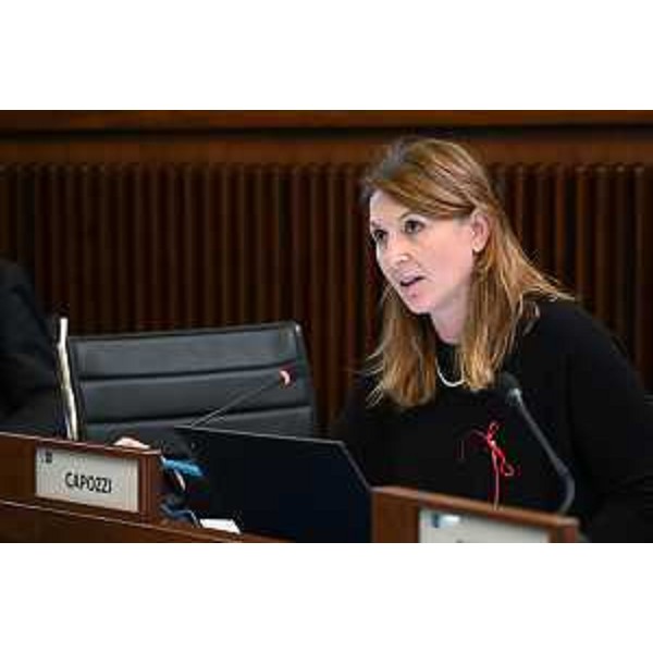 Rosaria Capozzi (M5S) - Rosaria Capozzi (M5S)