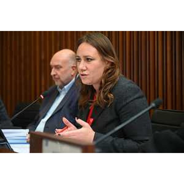 Manuela Celotti (Pd) - Manuela Celotti (Pd)