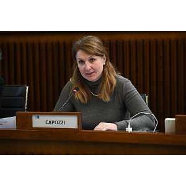 Rosaria Capozzi (Movimento 5 Stelle) - Rosaria Capozzi (Movimento 5 Stelle)