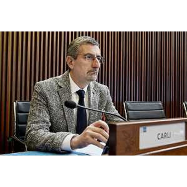 Andrea Carli (Pd) - Andrea Carli (Pd)