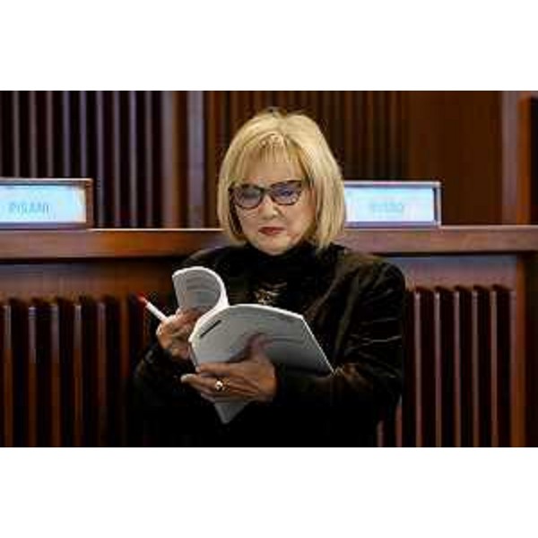 Laura Fasiolo (Pd) - Laura Fasiolo (Pd)