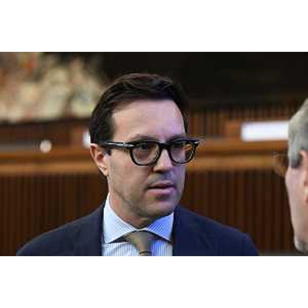 Igor Treleani (FdI) - Igor Treleani (FdI)