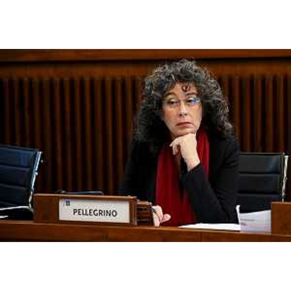 Serena Pellegrino (Avs) - Serena Pellegrino (Avs)