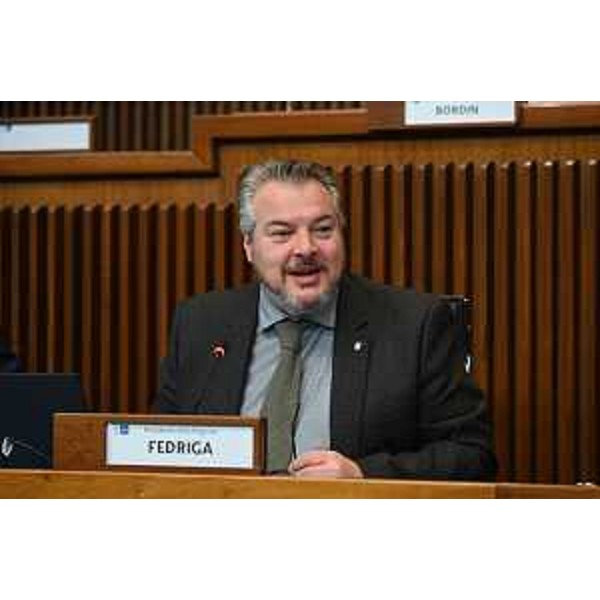 Diego Bernardis (Fedriga presidente) - Diego Bernardis (Fedriga presidente)