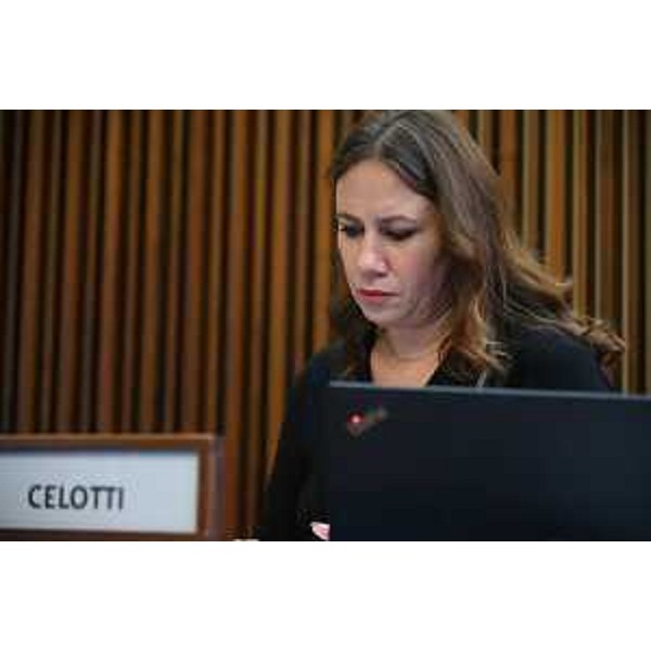Manuela Celotti (Pd) - Manuela Celotti (Pd)
