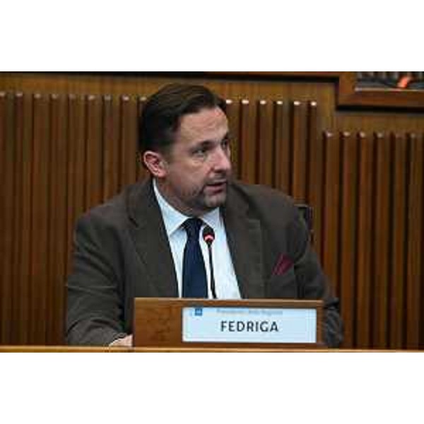 Il vicepresidente della IV Commissione, Edy Morandini - Il vicepresidente della IV Commissione, Edy Morandini