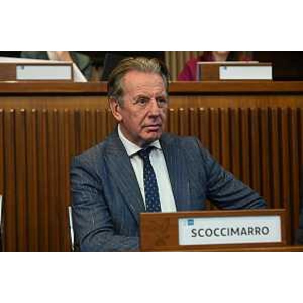 L'assessore regionale Fabio Scoccimarro - L'assessore regionale Fabio Scoccimarro 