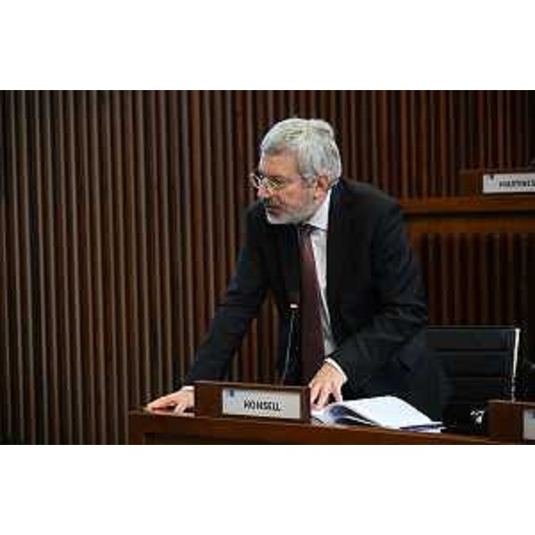 Furio Honsell (Open Sinistra Fvg) - Furio Honsell (Open Sinistra Fvg)