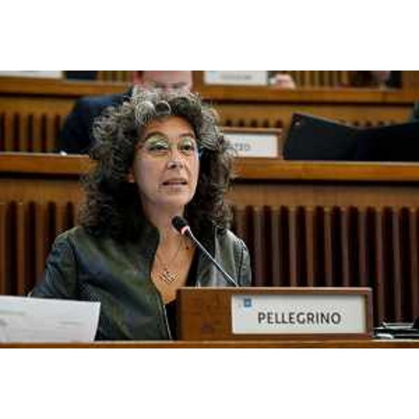 Serena Pellegrino (Avs) - Serena Pellegrino (Avs)