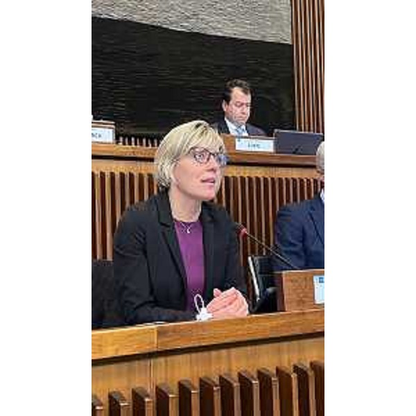 L'assessore Barbara Zilli durante il suo intervento in Prima commissione del Consiglio regionale - L'assessore Barbara Zilli durante il suo intervento in Prima commissione del Consiglio regionale