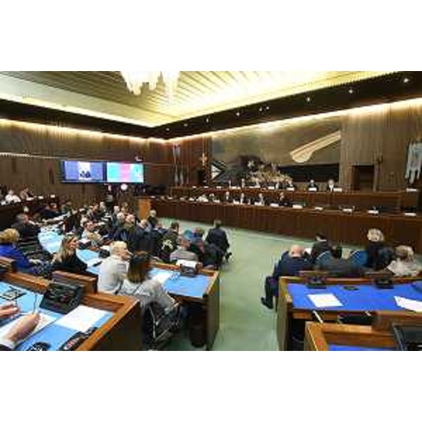 I lavori del convegno - I lavori del convegno