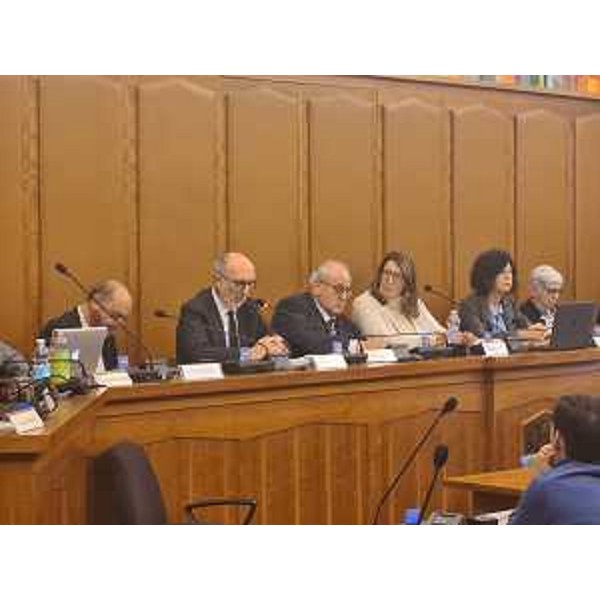 L'assessore regionale alla Salute Riccardo Riccardi durante l'incontro svoltosi oggi a Gorizia - L'assessore regionale alla Salute Riccardo Riccardi durante l'incontro svoltosi oggi a Gorizia