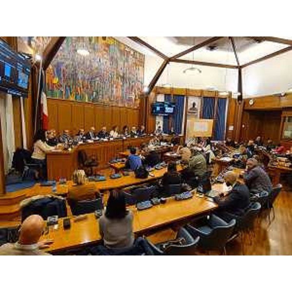 L'assessore regionale alla Salute Riccardo Riccardi durante l'incontro svoltosi oggi a Gorizia - L'assessore regionale alla Salute Riccardo Riccardi durante l'incontro svoltosi oggi a Gorizia