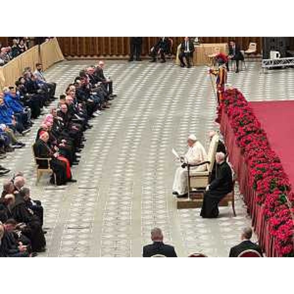 L'udienza da papa Francesco, in sala Paolo VI - L'udienza da papa Francesco, in sala Paolo VI