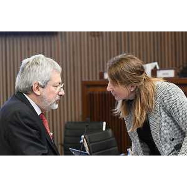 Furio Honsell (Open) e Rosaria Capozzi (M5S) - Furio Honsell (Open) e Rosaria Capozzi (M5S)