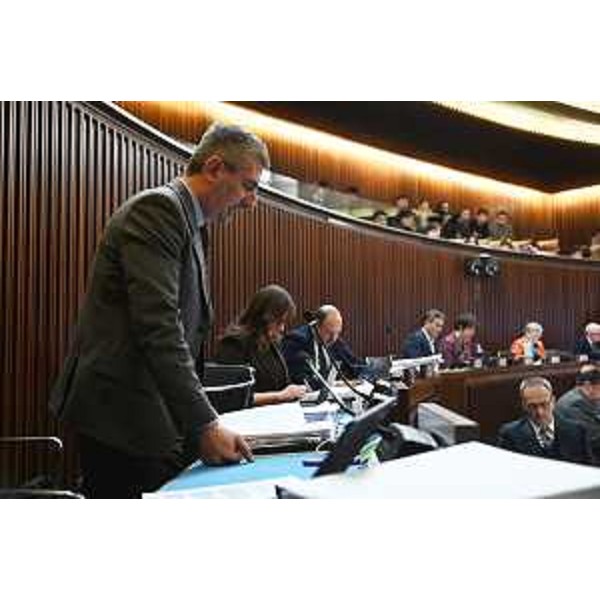 Andrea Carli (Pd) - Andrea Carli (Pd)