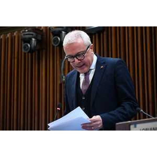 Andrea Cabibbo (Forza Italia) - Andrea Cabibbo (Forza Italia)