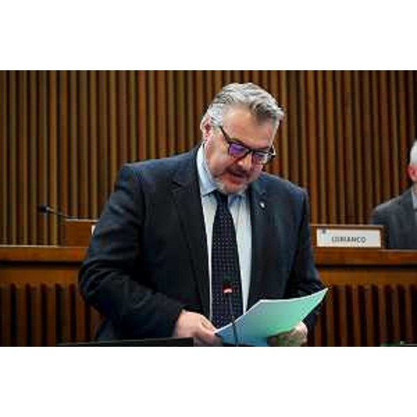 Diego Bernardis (Fedriga presidente) - Diego Bernardis (Fedriga presidente)