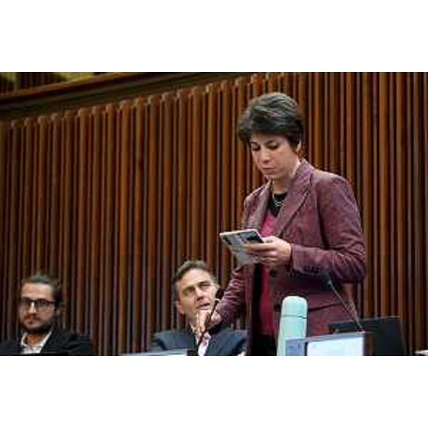 Giulia Massolino (Patto per l'Autonomia-Civica Fvg) - Giulia Massolino (Patto per l'Autonomia-Civica Fvg)