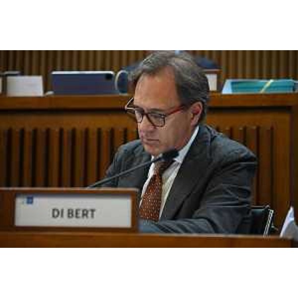 Mauro Di Bert (Fp) - Mauro Di Bert (Fp)