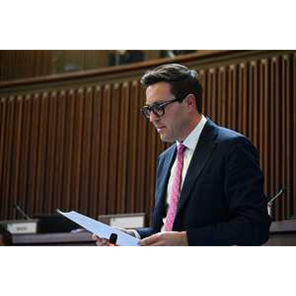 Igor Treleani (FdI) - Igor Treleani (FdI)