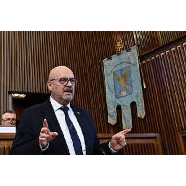 L'intervento in Aula dell'assessore regionale Sebastiano Callari - L'intervento in Aula dell'assessore regionale Sebastiano Callari