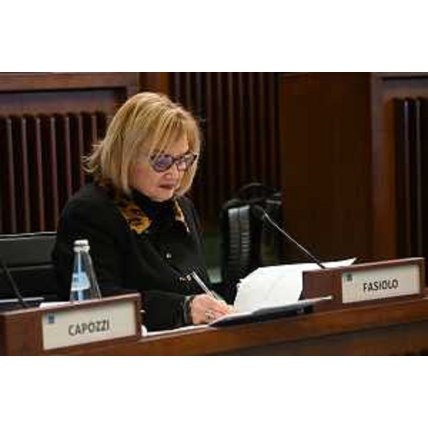 Laura Fasiolo (Pd) - Laura Fasiolo (Pd)