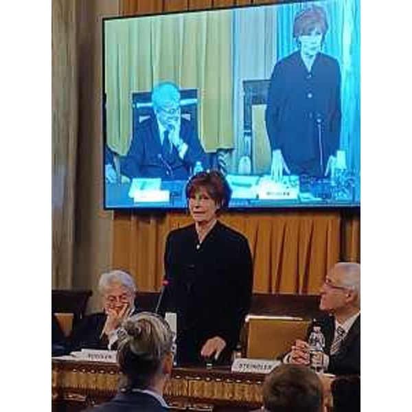 L'assessore Rosolen nel corso del suo intervento - L'assessore Rosolen nel corso del suo intervento