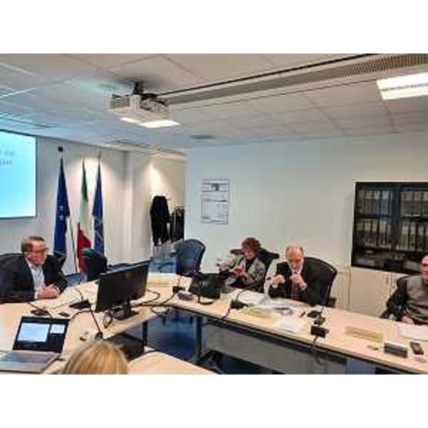 L'assessore Riccardi nel corso della seduta del Cal - L'assessore Riccardi nel corso della seduta del Cal