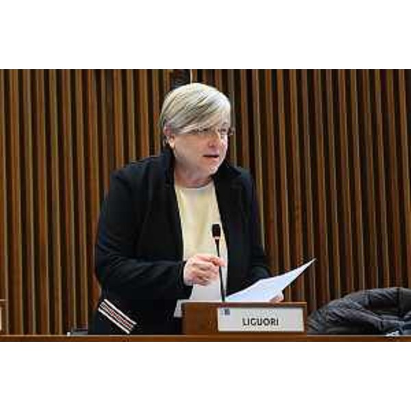 Simona Liguori (Patto per l'Autonomia-Civica Fvg) - Simona Liguori (Patto per l'Autonomia-Civica Fvg)