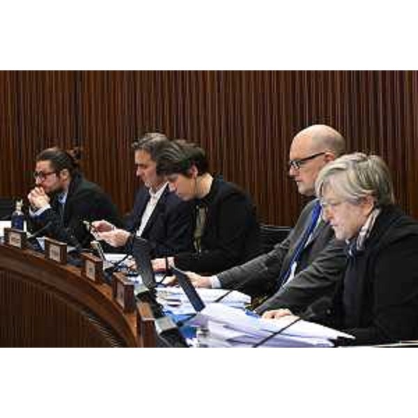 Il gruppo Patto per l'Autonomia-Civica Fvg - Il gruppo Patto per l'Autonomia-Civica Fvg