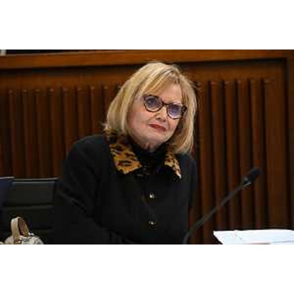 Laura Fasiolo (Pd) - Laura Fasiolo (Pd)