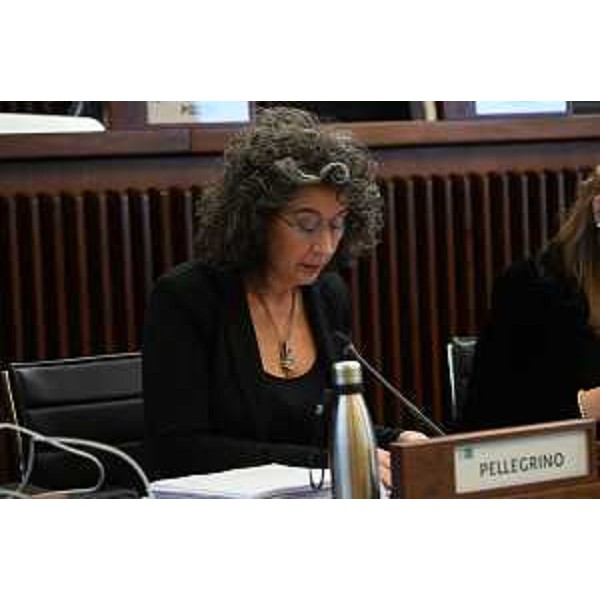 Serena Pellegrino (Avs) - Serena Pellegrino (Avs)