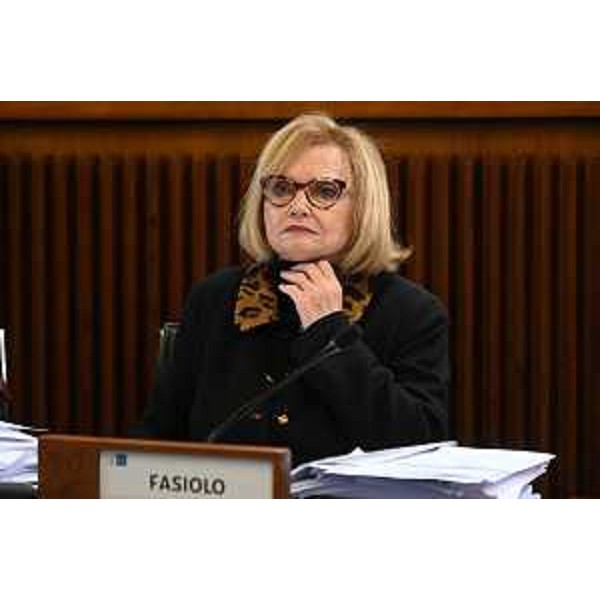 Laura Fasiolo (Pd) - Laura Fasiolo (Pd)