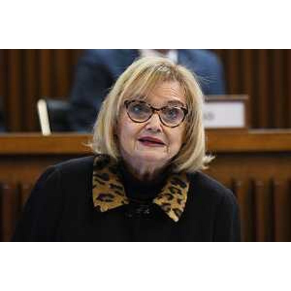 Laura Fasiolo (Pd) - Laura Fasiolo (Pd)