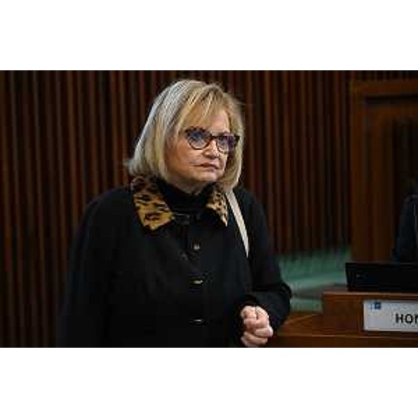 Laura Fasiolo (Pd) - Laura Fasiolo (Pd)