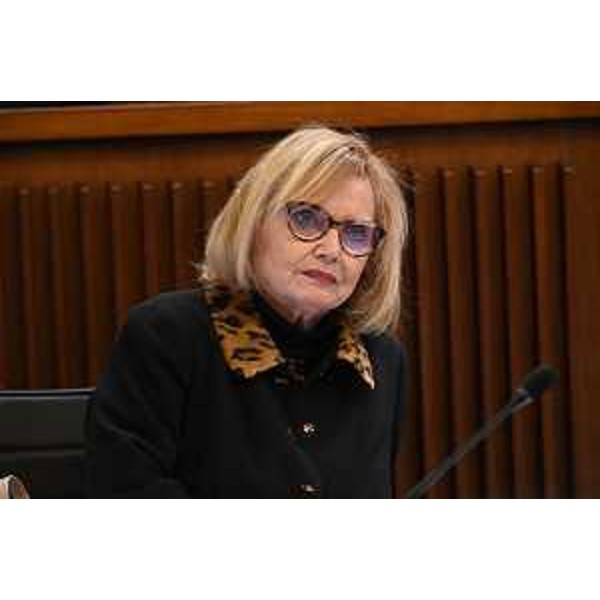 Laura Fasiolo (Pd) - Laura Fasiolo (Pd)