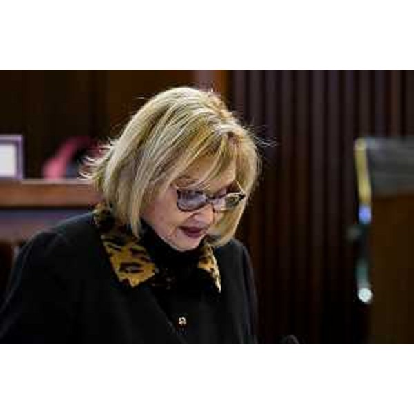 Laura Fasiolo (Pd) - Laura Fasiolo (Pd)