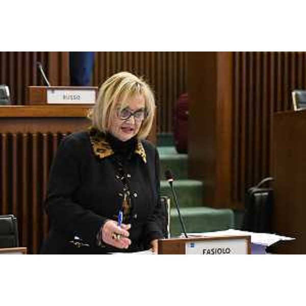 Laura Fasiolo (Partito democratico) - Laura Fasiolo (Partito democratico)